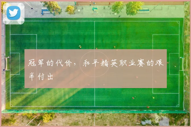 冠军的代价，和平精英职业赛的艰辛付出