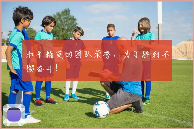 和平精英的团队荣誉,为了胜利不懈奋斗!
