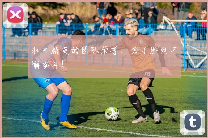 和平精英的团队荣誉，为了胜利不懈奋斗！